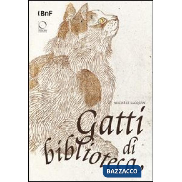 Gatti di biblioteca. Ediz. illustrata