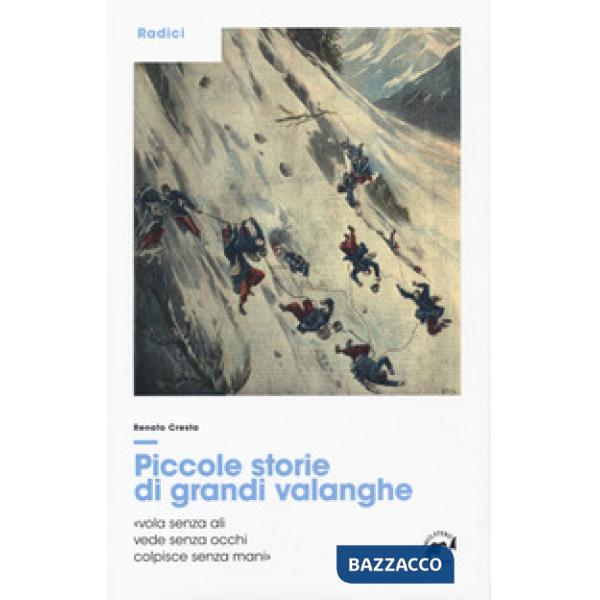 Piccole storie di grandi valanghe