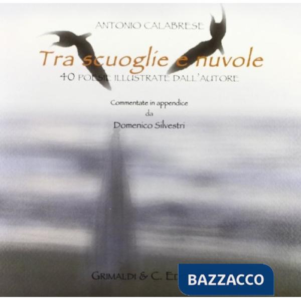 Tra scuoglie e nuvole. 40 poesie illustrate dall'autore