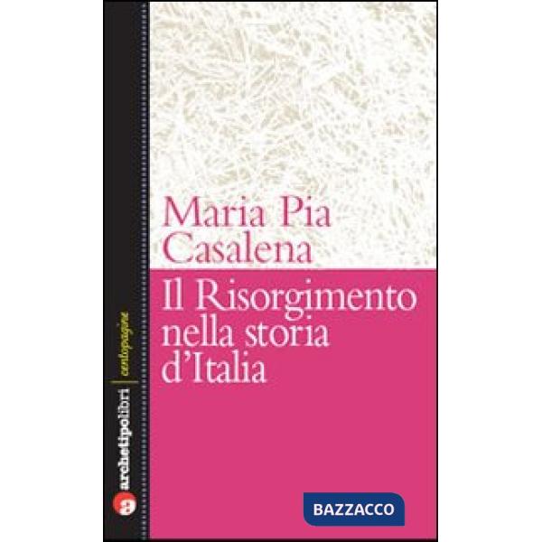 Risorgimento e la storia d'Italia (Il)