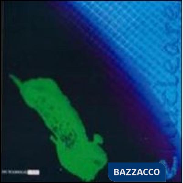 Enucleare. Ediz. illustrata