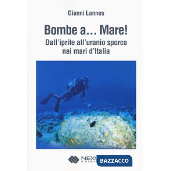 Bombe a... mare! Dall'iprite all'uranio sporco nei mari