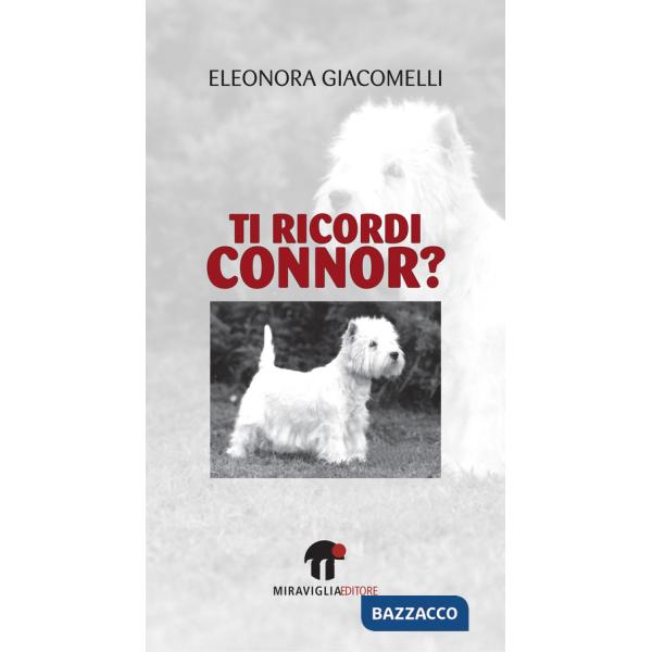 Ti ricordi Connor?