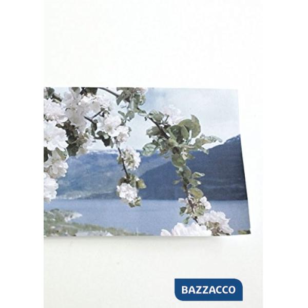 Never slept under the arch (I)