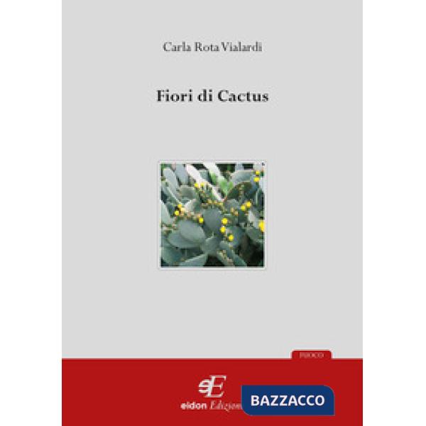 Fiori di cactus