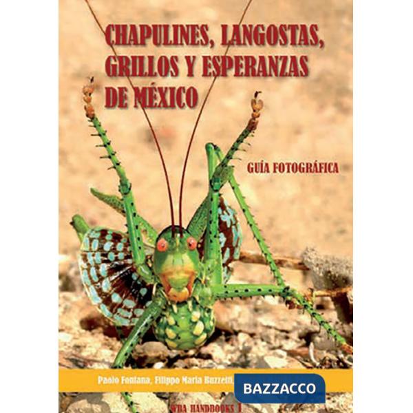 Chapulines, langostas, grillos y esperanzas de Mexico-Grasshoppers, locusts, cri