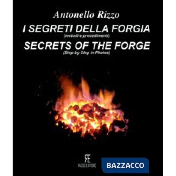 Segreti della forgia (metodi e procedimenti)-Secret of the forge (ste-by-step in photos). Ediz. bilingue (I)