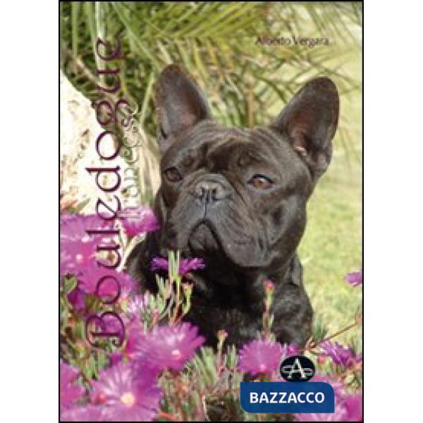 Bouledogue francese