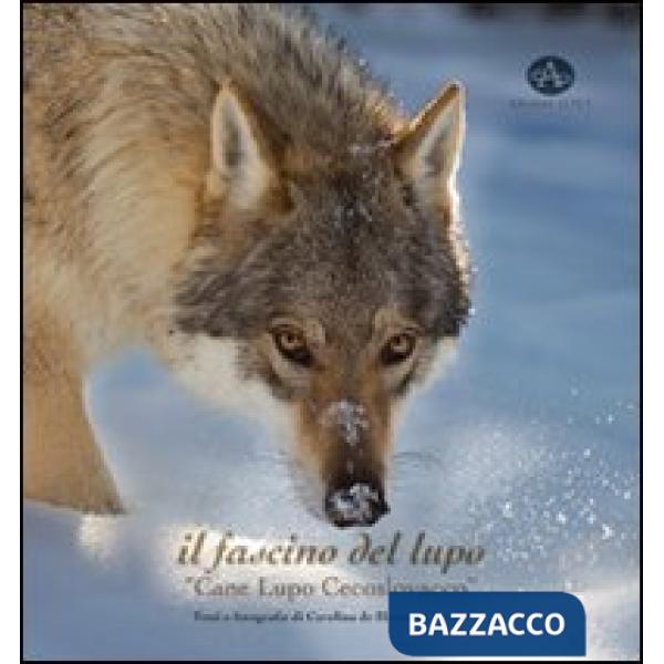 Fascino del lupo. Cane lupo cecoslovacco-The charm oh a wolf. Czechoslovakian wolfdog. Ediz. illustrata (Il)