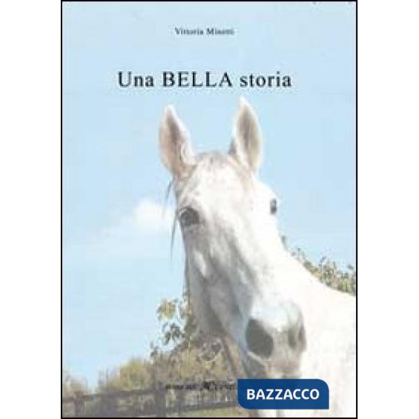 Bella storia (Una)