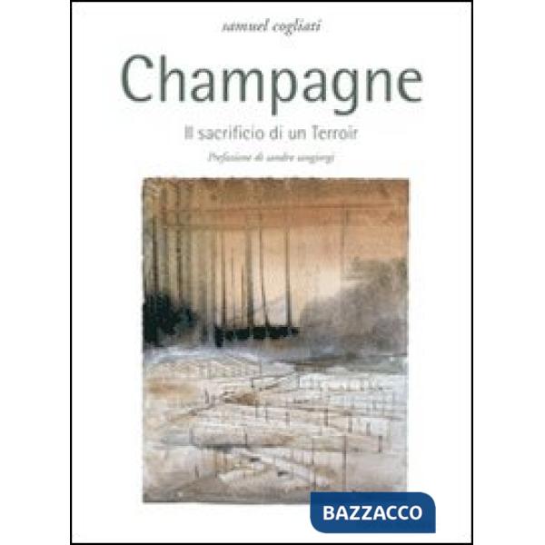 Champagne. Il sacrificio di un terroir