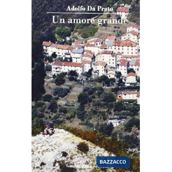 Amore grande (Un)