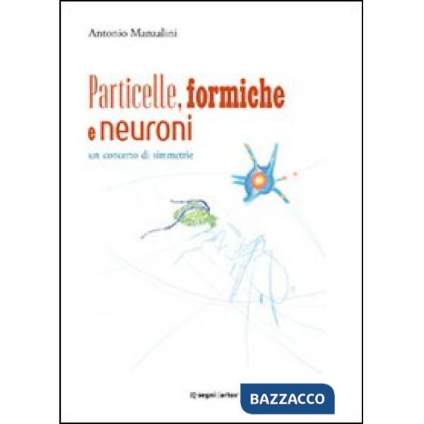 Particelle, formiche e neuroni: un concerto di simmetrie