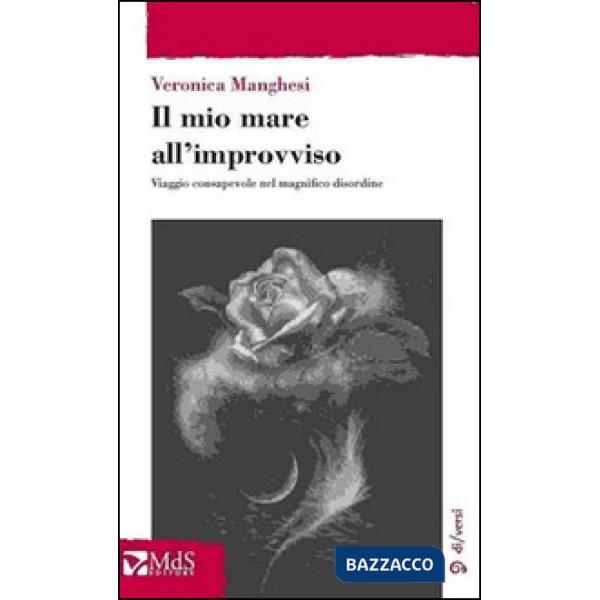 Mio mare all'improvviso. Viaggio consapevole nel magnifico disordine (Il)