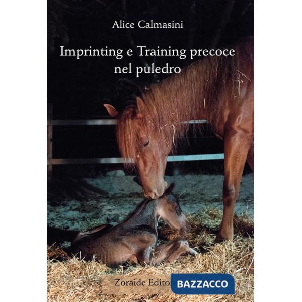 Imprinting e training precoce nel puledro