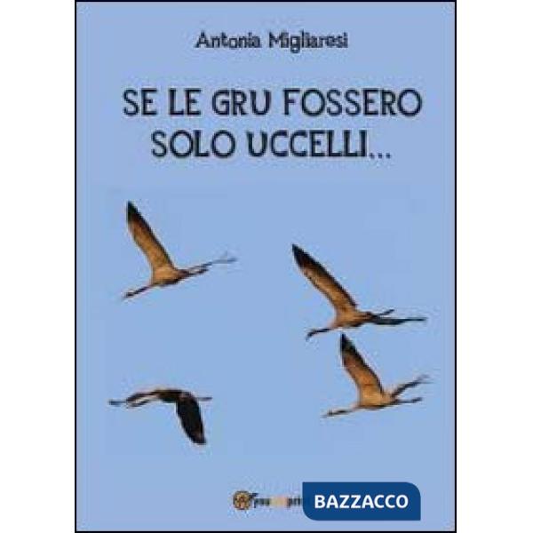 Se le gru fossero solo uccelli...