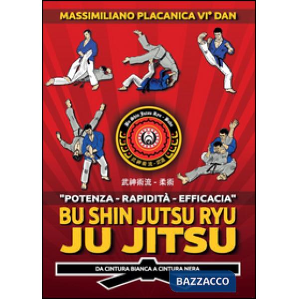 Bu Shin Jutsu Ryu. Ju jitsu. Da cintura bianca a cintura nera