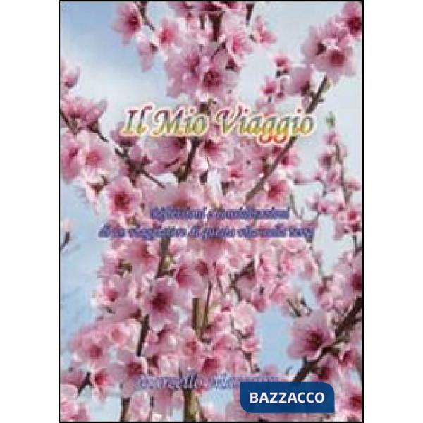 Mio viaggio (Il)