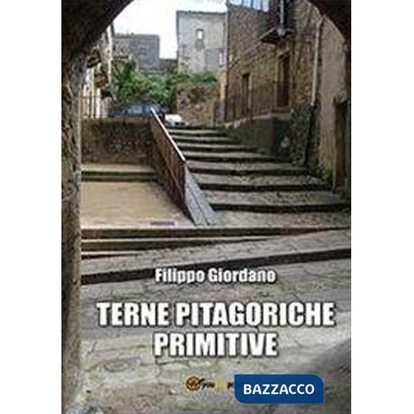 Terne pitagoriche primitive