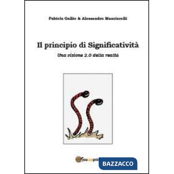 Principio di significatività (Il)