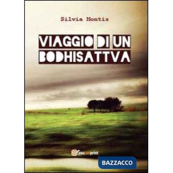 Viaggio di un Bodhisattva