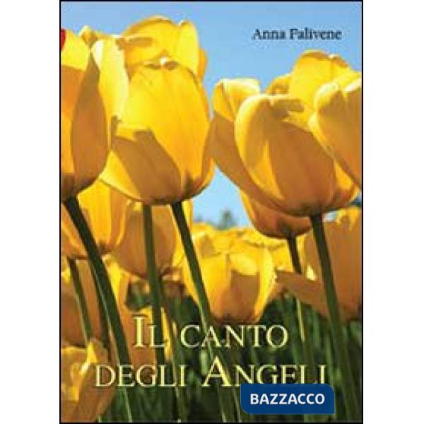 Canto degli angeli (Il)