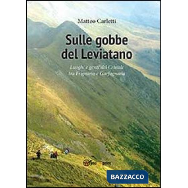 Sulle gobbe del Leviatano