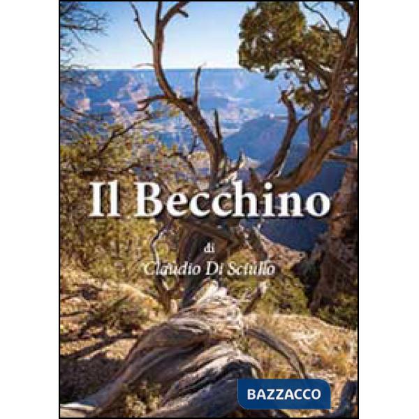 Becchino (Il)