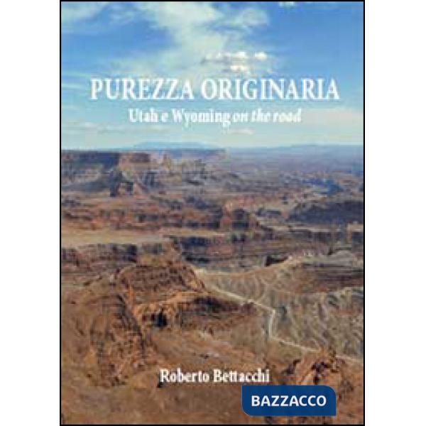 Purezza originaria