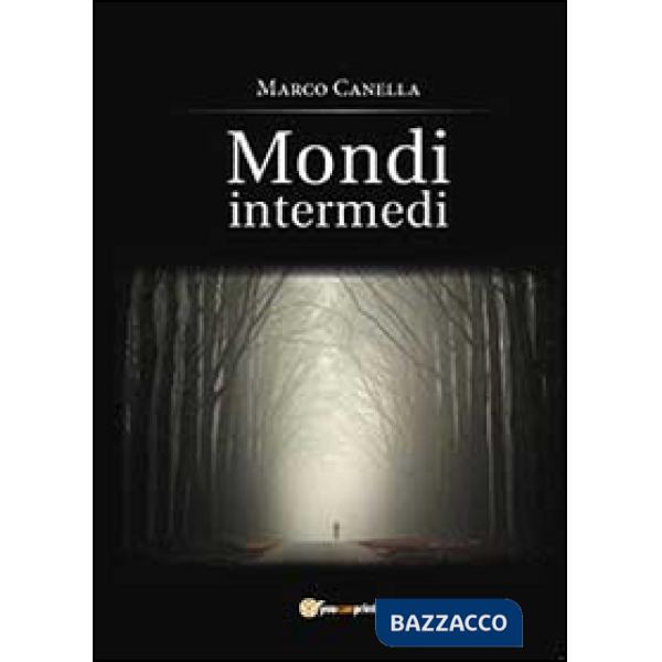 Mondi intermedi
