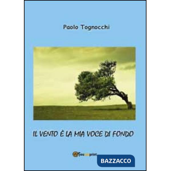 Vento è la mia voce di fondo (Il)