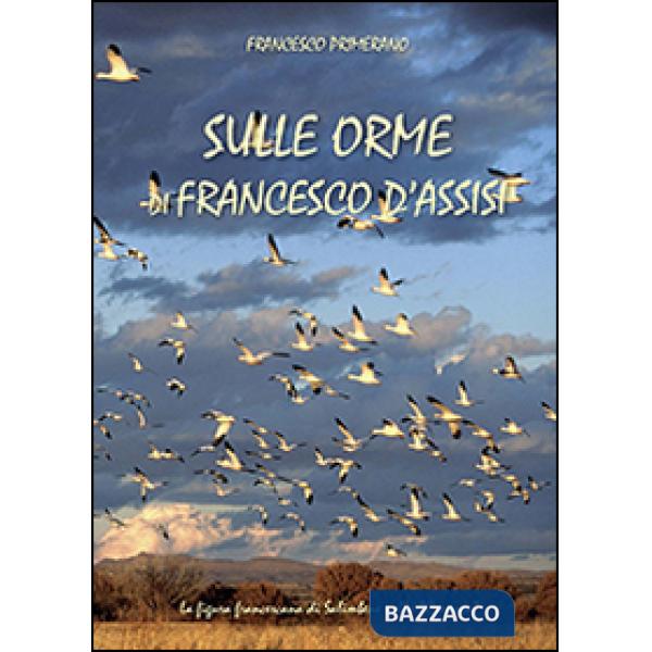 Sulle orme di Francesco d'Assisi
