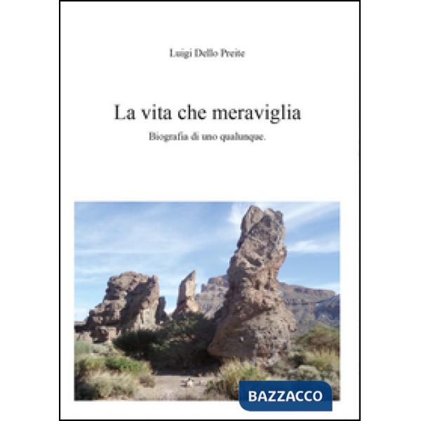 Vita. Che meraviglia (La)