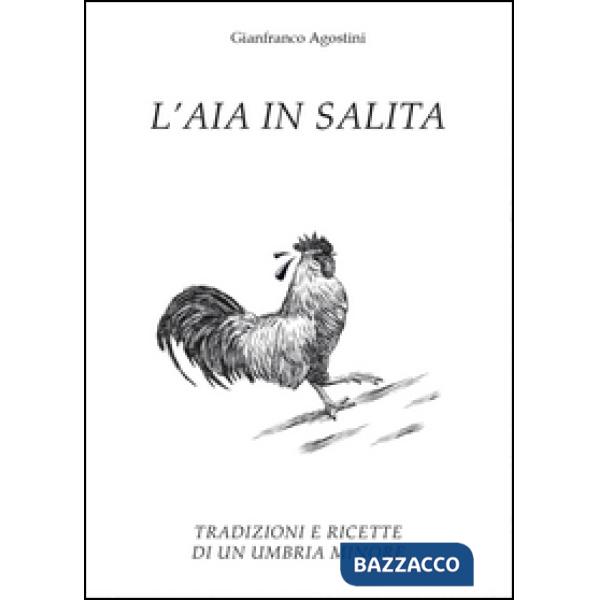 Aia in salita (L')