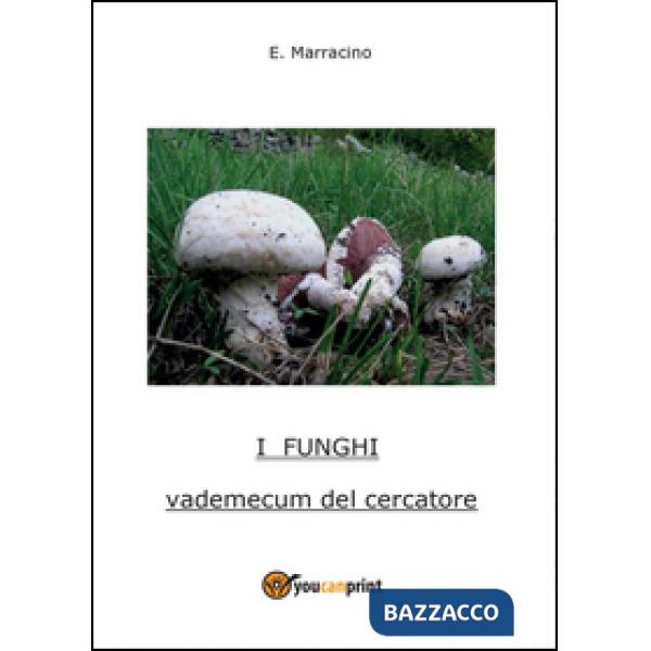 Funghi (I)