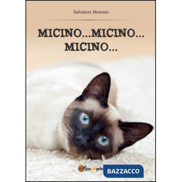 Micino... micino... micino...