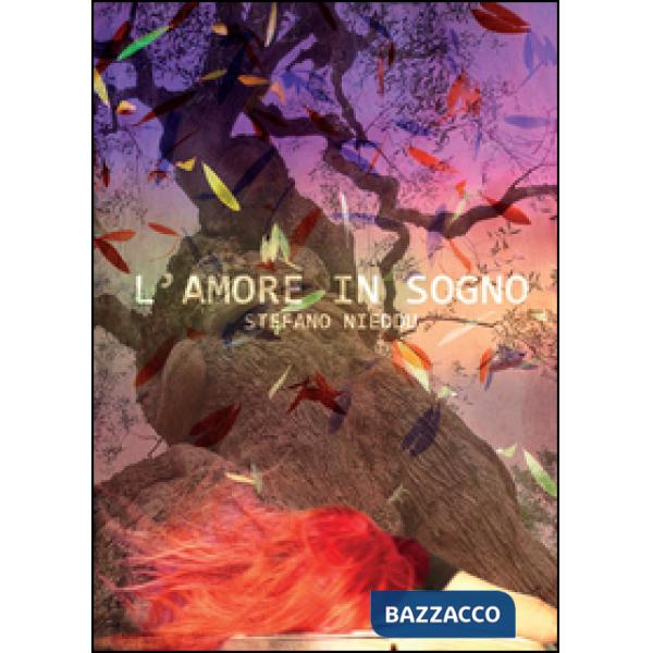 Amore in sogno (L')