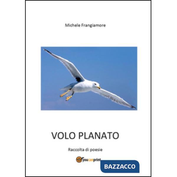 Volo planato