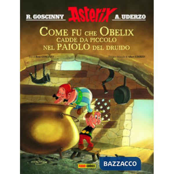 Come fu che Obelix cadde da piccolo nel paiolo del druido. Asterix