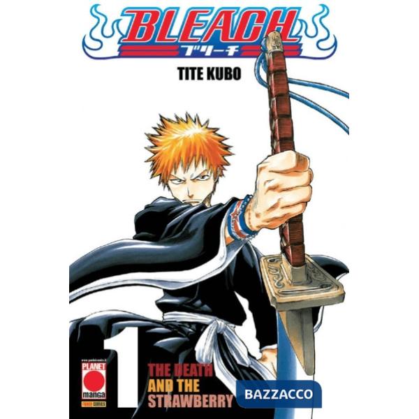 Bleach. Vol. 1