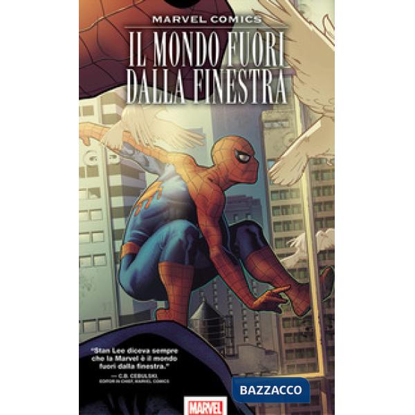 Mondo fuori dalla finestra (Il)