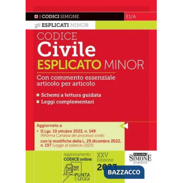 Codice civile esplicato. Ediz. minor
