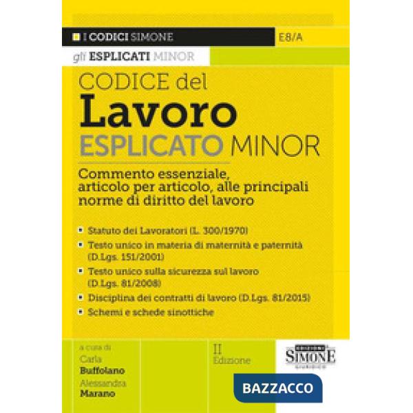 Codice del Lavoro esplicato. Commento essenziale, articolo per articolo, alle principali norme di diritto del lavoro. Minor