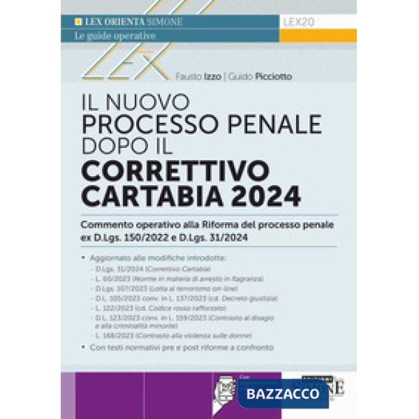 Il nuovo processo penale dopo il Correttivo Cartabia 2024