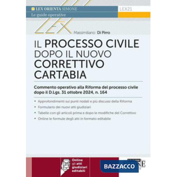 Il processo civile dopo il nuovo correttivo Cartabia. Commento operativo alla Riforma del processo civile dopo il D.Lgs. 31 otto