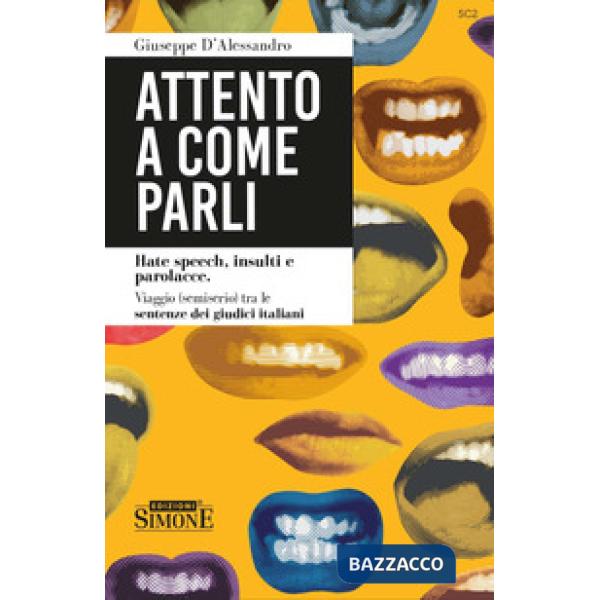 Attento a come parli. Hate speech, insulti e parolacce. Viaggo (semiserio) tra le sentenze dei giudici italiani