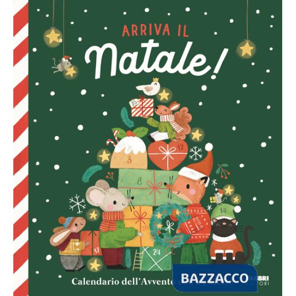 Arriva il Natale! Calendario dell'Avvento con 25 alette. Ediz. a colori