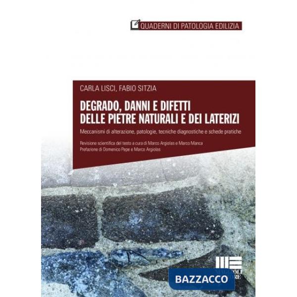 DEGRADO, DANNI E DIFETTI DEI MATERIALI LAPIDEI E IN LATERIZIO