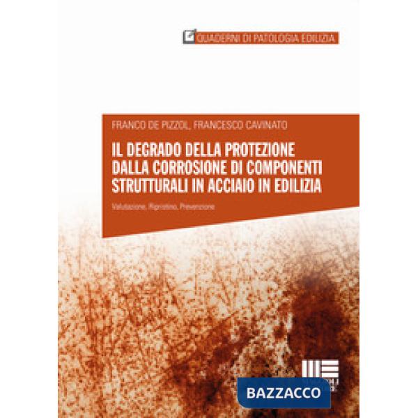 Il degrado della protezione dalla corrosione di componenti strutturali in acciaio in edilizia