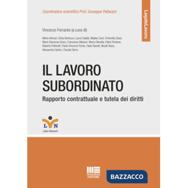 Il lavoro subordinato. Rapporto contrattuale e tutela dei diritti